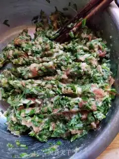 Make Pork dumplings step 4