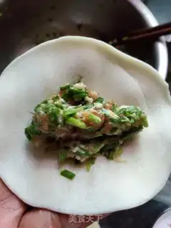 Make Pork dumplings step 5