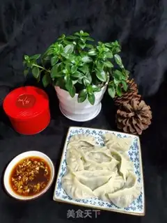 Make Pork dumplings step 8