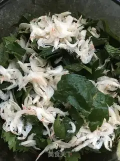 Make Celery, shrimp and eggs step 5