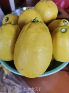 Make Ice cream lemonade step 0