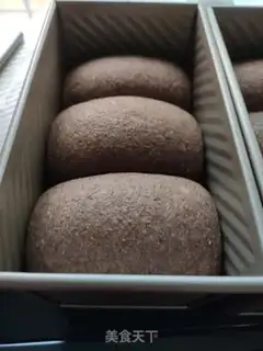Make Whole wheat bread step 6