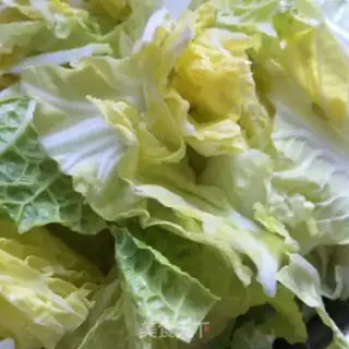 Make Pelican cabbage step 2