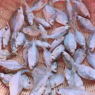Make Snack fish step 0
