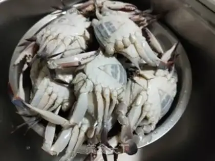 Make Crabs step 0