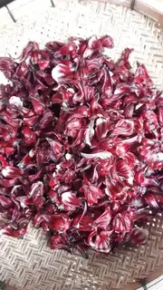 Make The flower fruit of Luo step 1