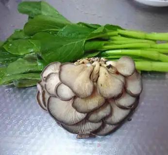 Make Pink mushrooms step 0