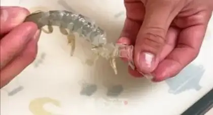 Make Shrimp tofu step 0