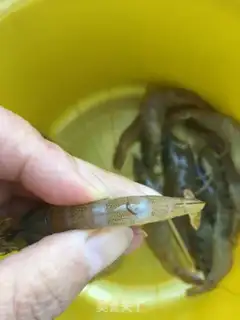 Make Tofu shrimp step 2