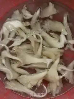 Make Squirrel mushroom soup step 0