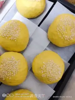Make Pumpkin chicken bread step 9