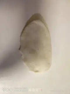 Make Ham hot dog roll step 5