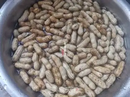 Make Five peanuts step 1