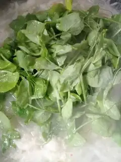 Make # Rhobbish pea-tip soup # step 10