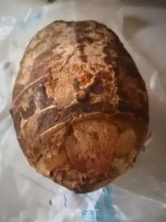 Make Tacos step 0