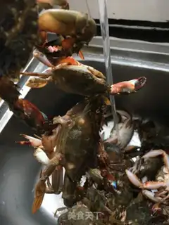 Make Crabs step 8