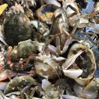 Make Crabs step 17