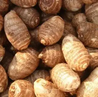 Make Onions of tara step 0