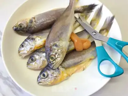 Make Little yellow fish pasters step 2