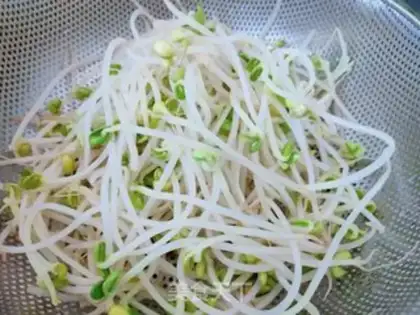 Make Soybean sprouts step 1
