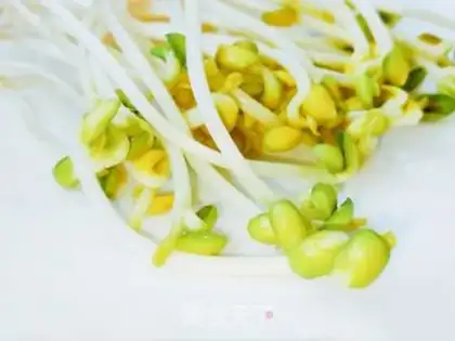 Make Soybean sprouts step 3