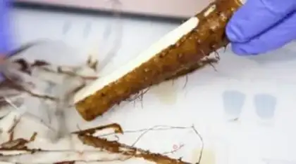 Make Mountain cake step 1