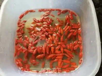 Make "Red dates, ice cream, oat nest." step 11