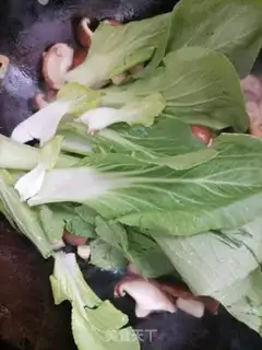 Make Fried mushrooms step 4