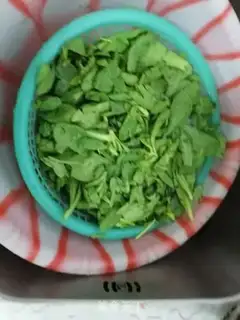Make Sodium artery step 1