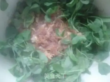 Make Garlic shrimp cabbage step 12