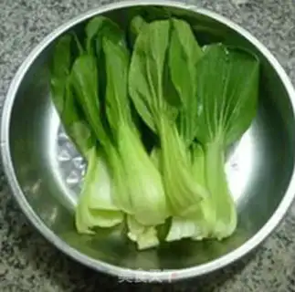 Make Squid