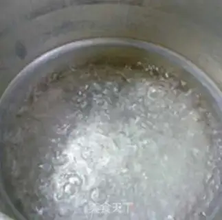 Make Squid