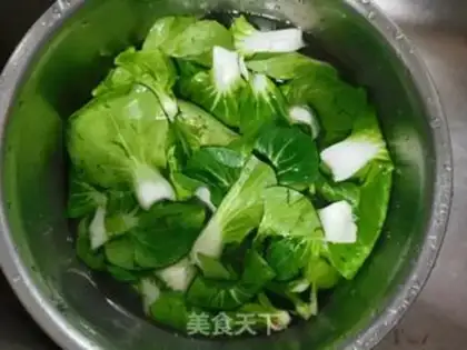 Make Cabbage fan step 0
