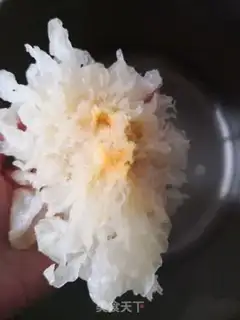 Make Lily