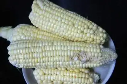 Make A green corn egg and vegetable pie step 0