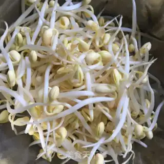 Make Soybean sprouts step 0