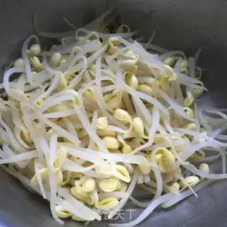 Make Soybean sprouts step 6