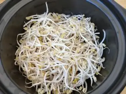 Make Sandpot tofu step 7