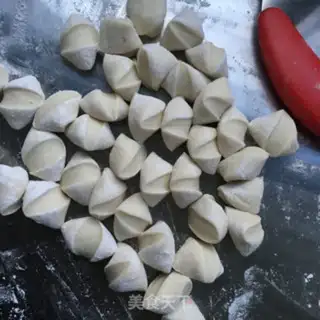 Make Onion carrot beef dumplings step 8