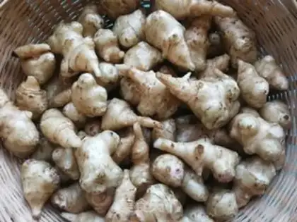 Make Ginger sauce step 1