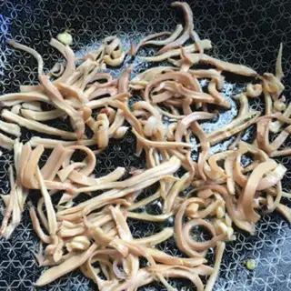 Make Squid eggs step 6