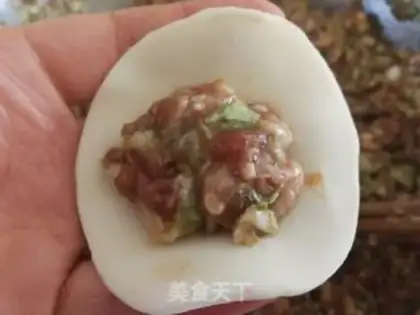 Make Pork dumplings step 11