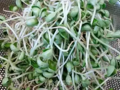 Make Five flowers and black bean sprouts step 1