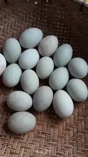Make Homemade duck eggs step 0
