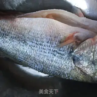 Make Garlic slugs step 0