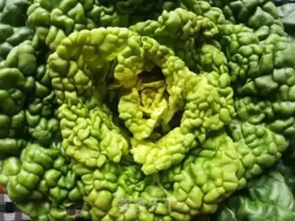 Make Chickenball soup for a yellow cabbage fan step 0