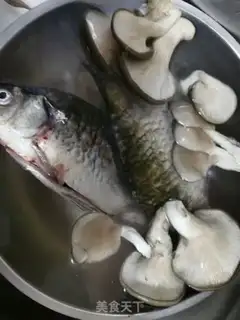 Make Squirrel mushroom soup step 0