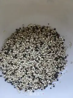Make quinoa step 2