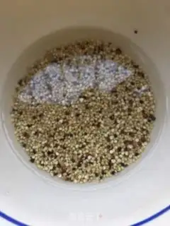 Make quinoa step 3
