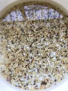 Make quinoa step 5